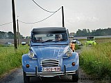 Zandlemig Vlaanderen